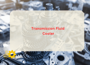 Transmission Fluid Cooler