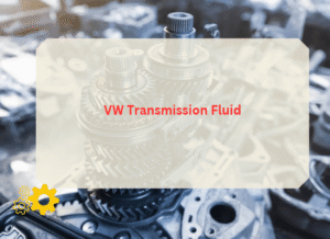 VW Transmission Fluid